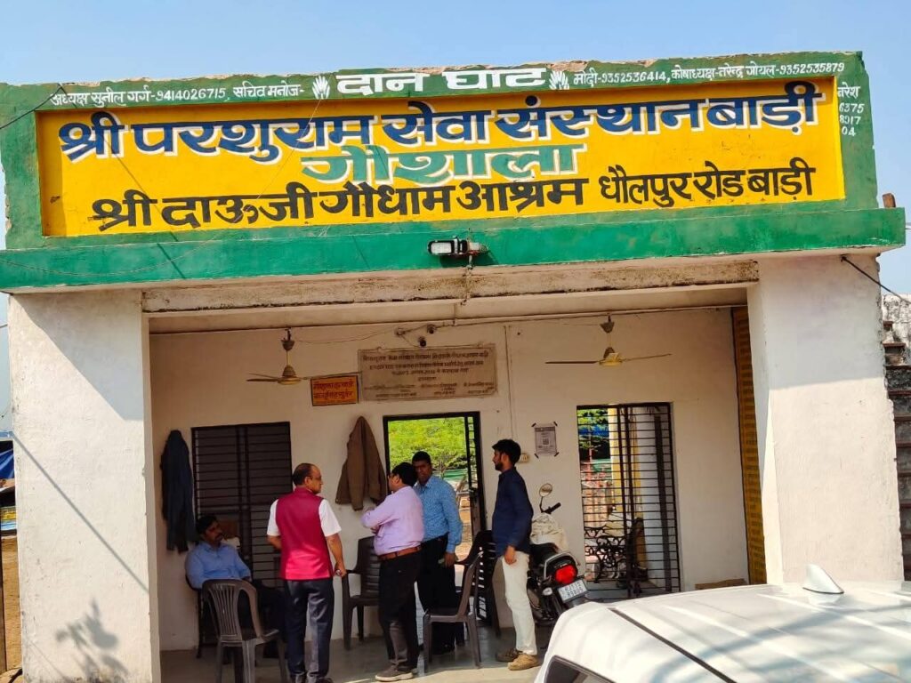 Dholpur: Collector inspected Bijauli cowshed